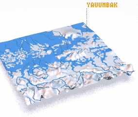 3d view of Yau\