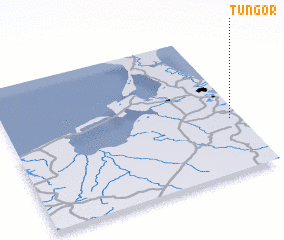 3d view of Tungor