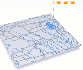 3d view of Chinkapook