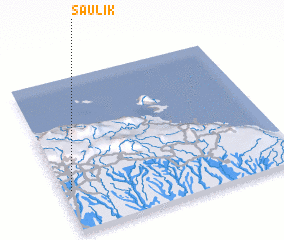 3d view of Saulik