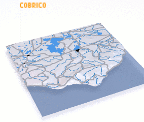 3d view of Cobrico