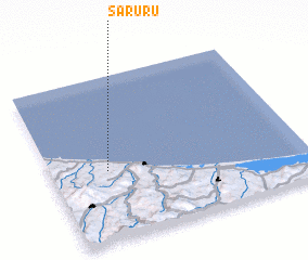 3d view of Saruru