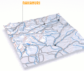 3d view of Naka-muri