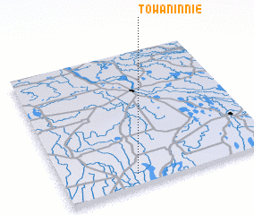 3d view of Towaninnie