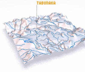 3d view of Tabunaka