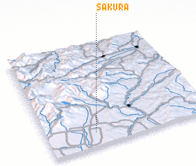 3d view of Sakura