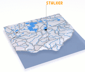 3d view of Stalker