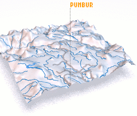 3d view of Pumbur