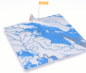 3d view of Moka