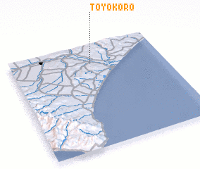 3d view of Toyokoro