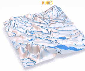 3d view of Puins