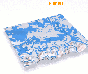 3d view of Piambit