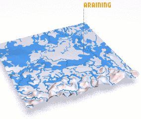 3d view of Araining