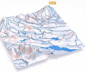 3d view of Uma