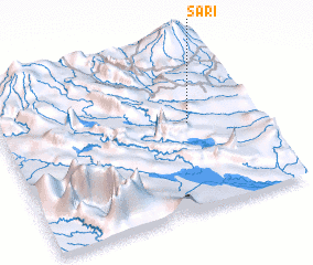 3d view of Sari