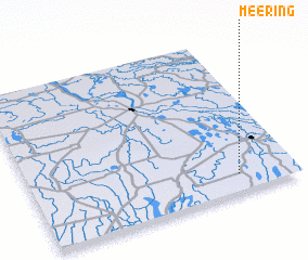 3d view of Meering