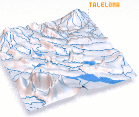 3d view of Taleloma