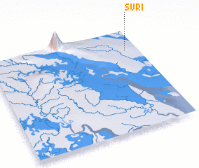 3d view of Suri