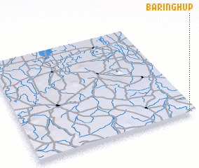 3d view of Baringhup