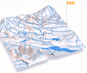 3d view of Puri