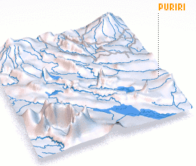 3d view of Puriri