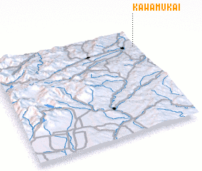 3d view of Kawamukai