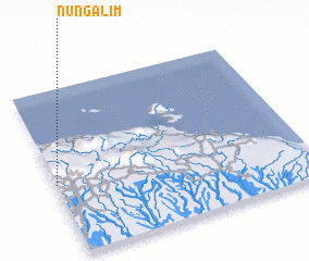 3d view of Nungalim