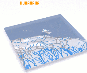 3d view of Numamaka