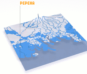 3d view of Pepeha