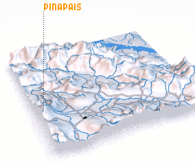 3d view of Pinapais