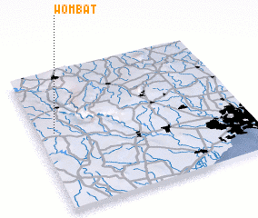 3d view of Wombat