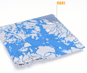 3d view of Mari