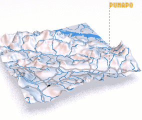 3d view of Pumapo