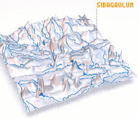 3d view of Sibagaulum