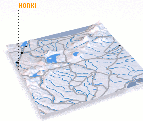 3d view of Honki