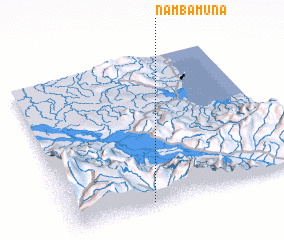 3d view of Nambamuna