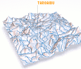 3d view of Taro-Aibu