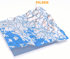 3d view of Pularia