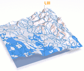 3d view of Lui