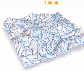 3d view of Tunuku