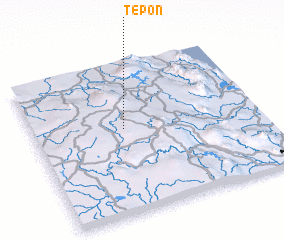 3d view of Tepon