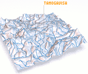 3d view of Tamogavisa