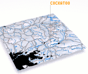 3d view of Cockatoo