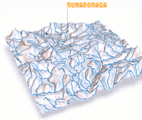 3d view of Numaronaga