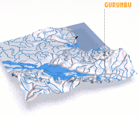 3d view of Gurumbu