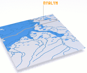 3d view of Nyalym