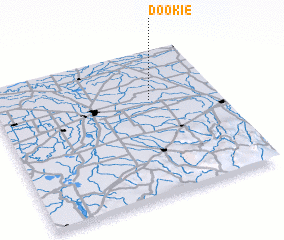 3d view of Dookie