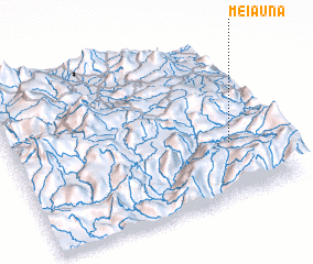 3d view of Meiauna