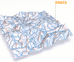 3d view of Pinata