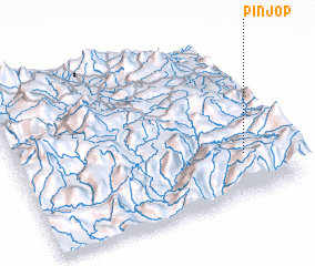 3d view of Pinjop